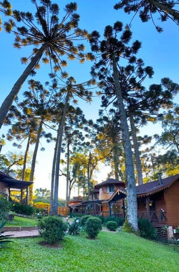 Chalet Chale Tematico Em Pipa De Vinho - Parada Da Pipa *