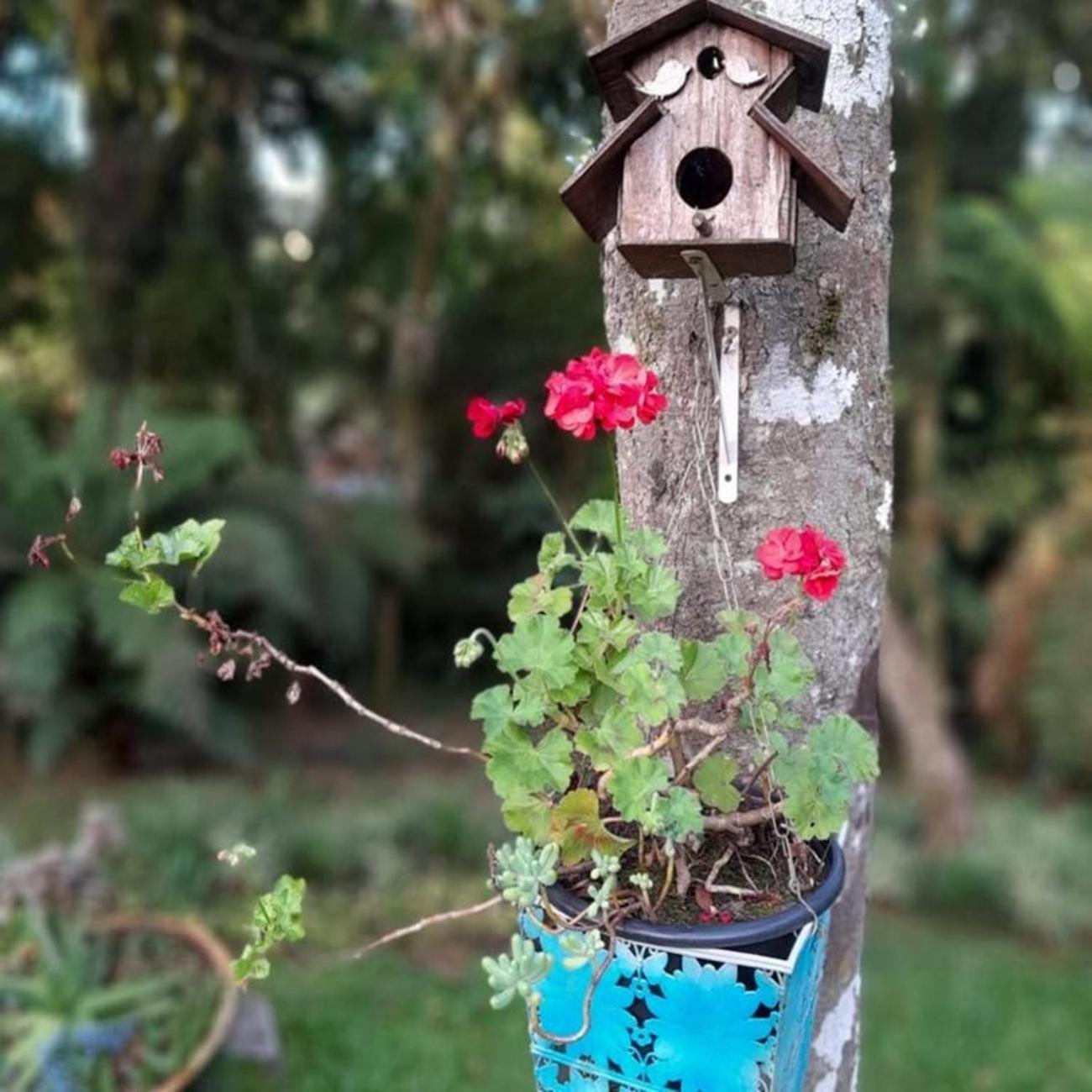 Chale Tematico Em Pipa De Vinho - Parada Da Pipa Chalet