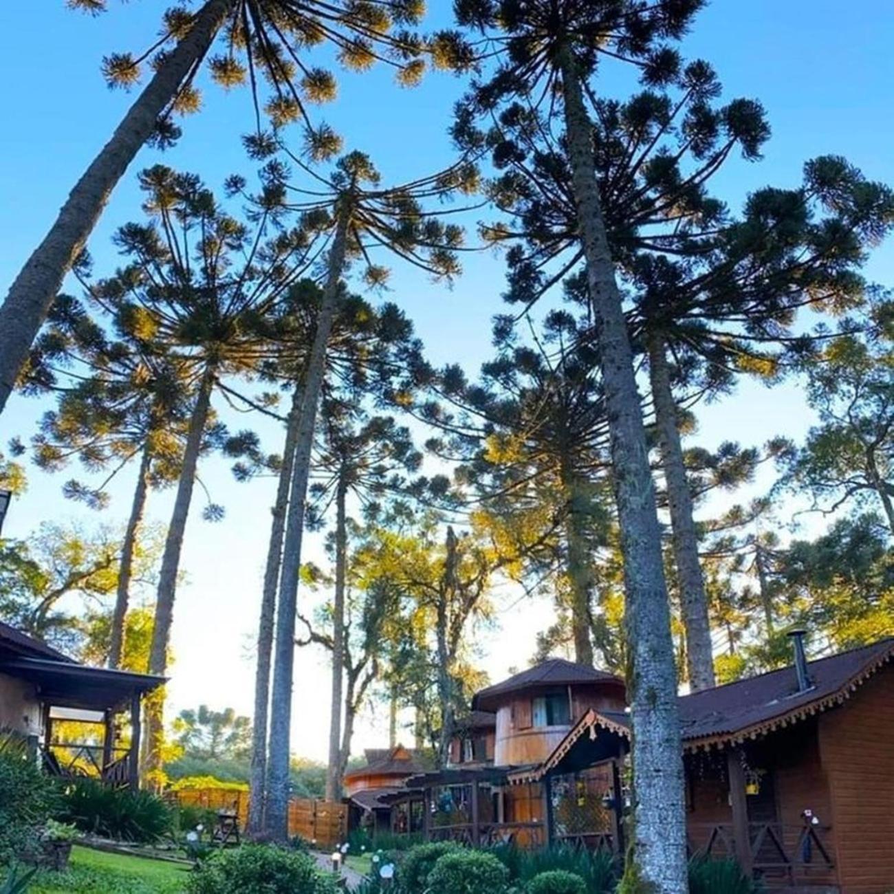 Chalet Chale Tematico Em Pipa De Vinho - Parada Da Pipa *