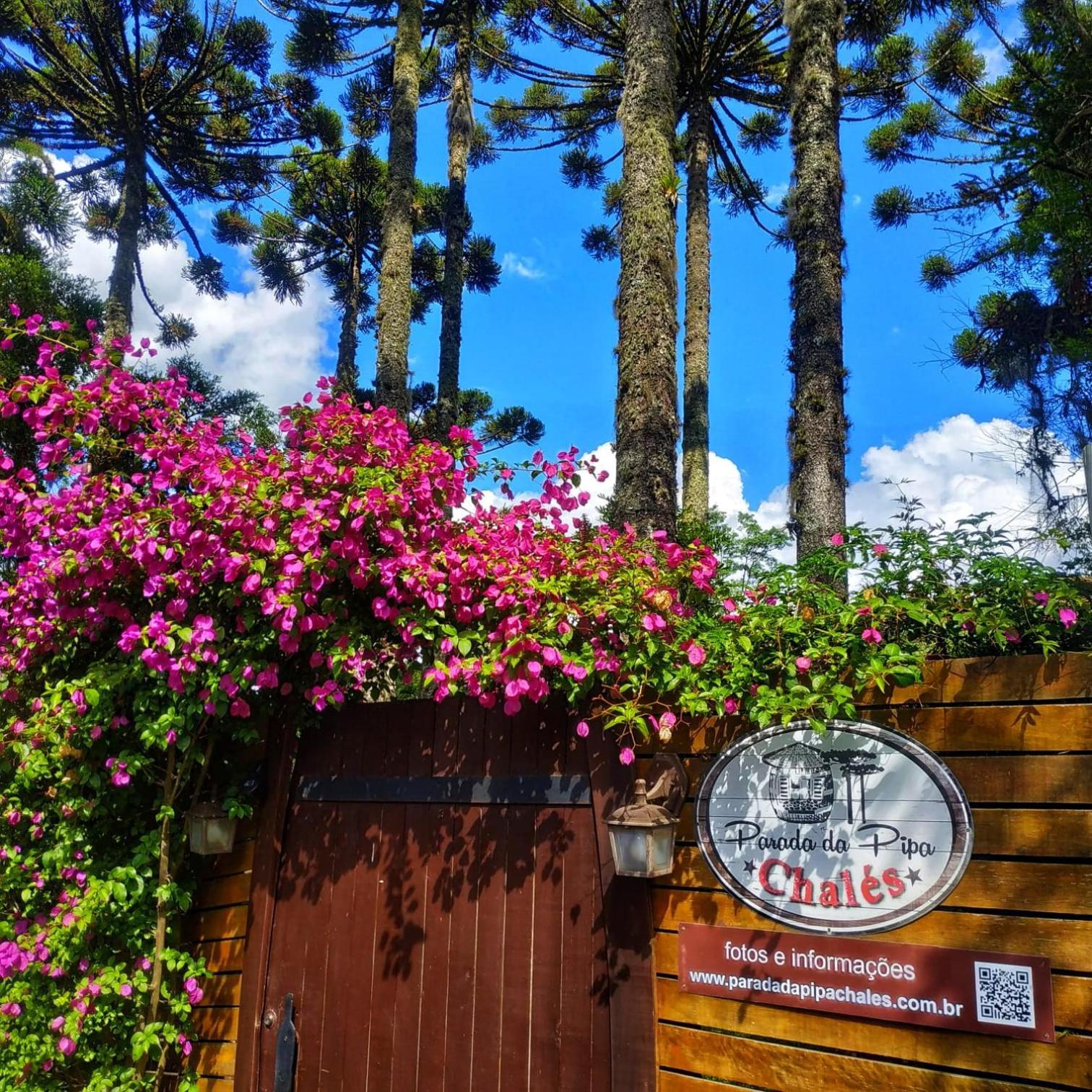 Chale Tematico Em Pipa De Vinho - Parada Da Pipa Chalet